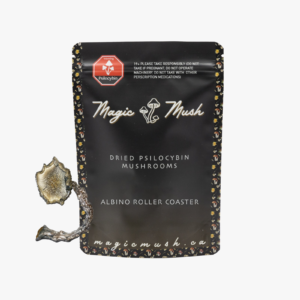 Albino Roller Coaster – Dried Magic Mushroom