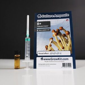 B+ Magic Mushroom Spores