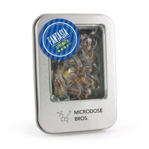 Fantasia Magic Truffles – 15 Grams