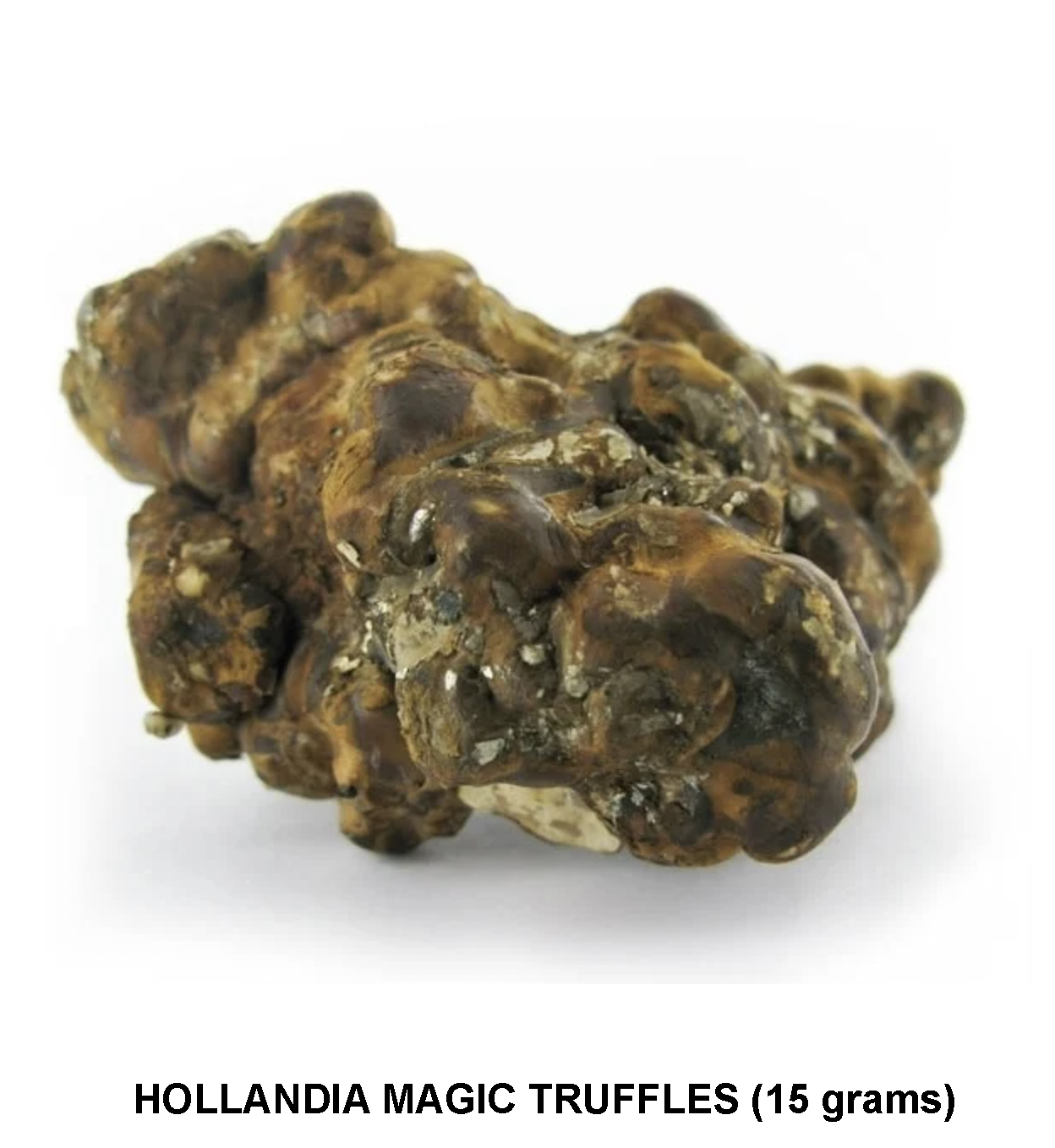 HOLLANDIA-MAGIC-TRUFFLES-4.jpg