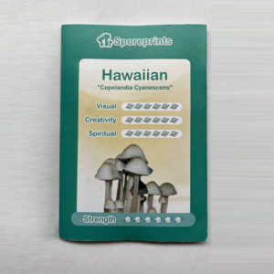 Hawaiian Sporeprint (Copelandia cyanescens)