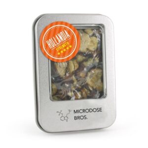 Hollandia Magic Truffles – 15 Grams