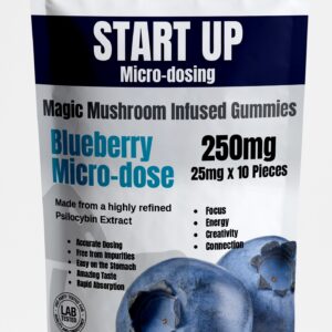 Magic Mushroom Startup Blueberry Microdose Gummies 250mg