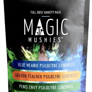 Variety Pack Magic Mushroom Capsules 500mg