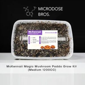 McKennaii Magic Mushroom Grow Kit