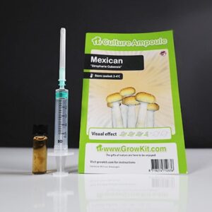 Mexican Magic Mushroom Spores