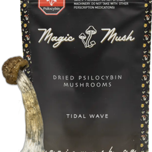 Tidal Wave Dried Magic Mushroom