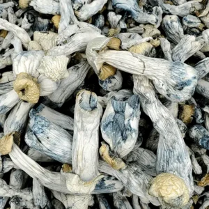 Yeti Magic Mushrooms (Premium)
