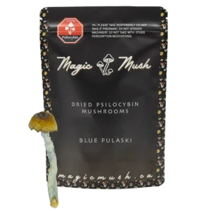 Blue Pulaski Magic Mushrooms (Dried)