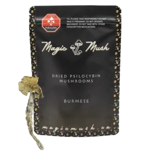 Burmese Dried Magic Mushrooms