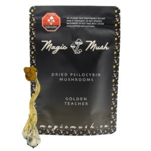 Golden Teacher Magic Mushrooms (Dried)