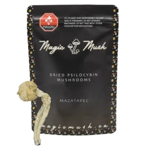Mazatapec Dried Magic Mushrooms