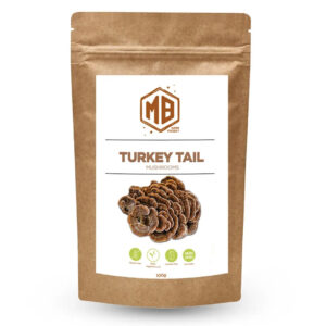 Turkey Tail Mushroom Extract Powder